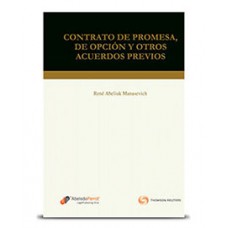 CONTRATO DE PROMESA DE OPCION Y OTROS ACUERDOS PREVIOS